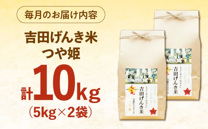 白米 おこめ げんき米 定期便 つや姫 ごはん お弁当 国産 おいしい 