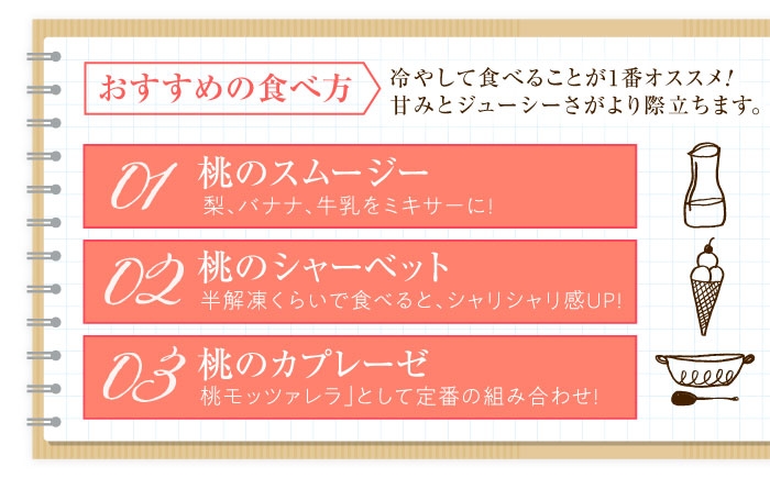 モモ 桃 フルーツ 果物 1箱 くだもの もも モモ 川中島白桃 かわなかじま 甘い ジューシー 大玉 旬 夏 産地直送 愛媛