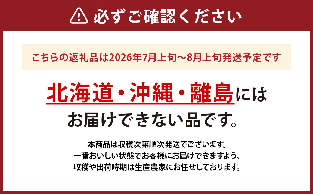 ドルチェドリーム スイートコーン 1箱 10本入り