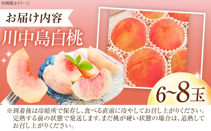 モモ 桃 フルーツ 果物 1箱 くだもの もも モモ 川中島白桃 かわなかじま 甘い ジューシー 大玉 旬 夏 産地直送 愛媛