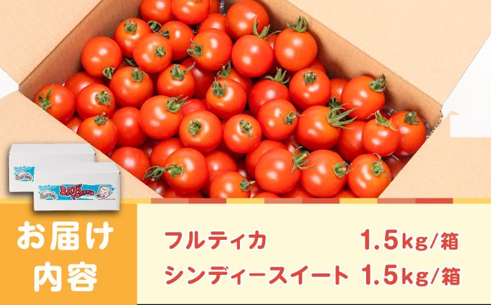 トマト とまと あまい 甘い 新鮮 野菜 おいしい 美味しい 絶品 生鮮