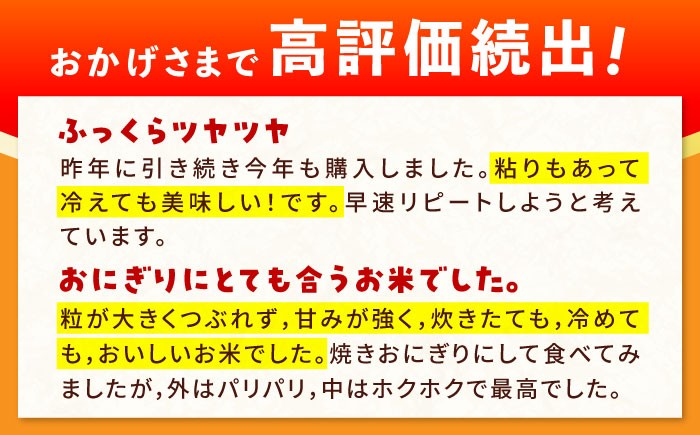 【特A評価】佐賀県武雄市橘産 さがびより 10kg さがびより 白米 米 お米 こめ 白米 精米 ブランド米