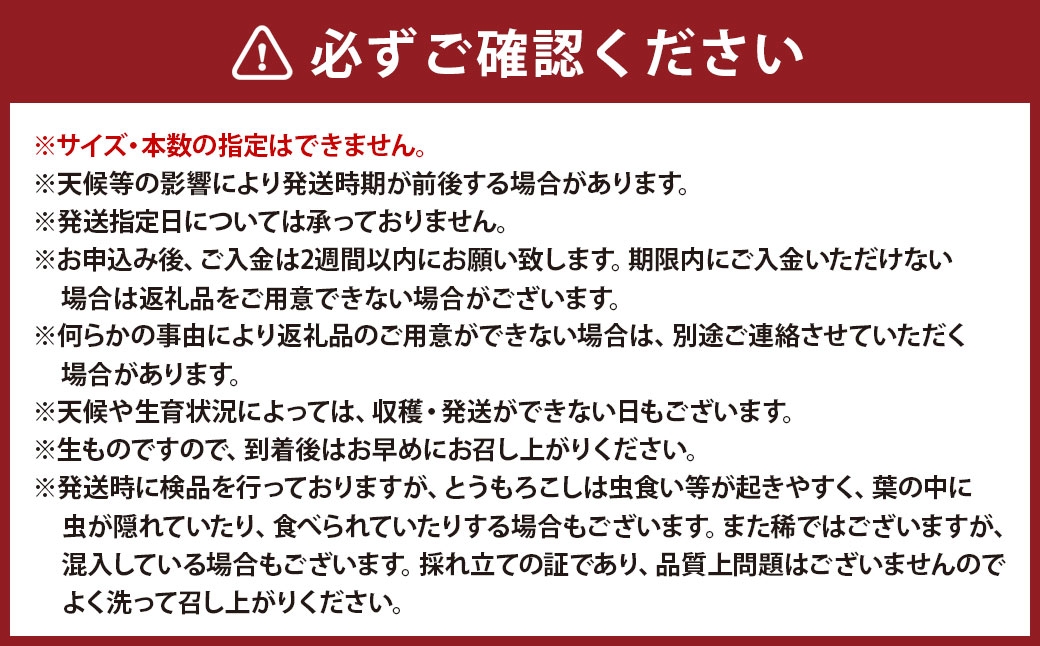ドルチェドリーム スイートコーン 1箱 10本入り
