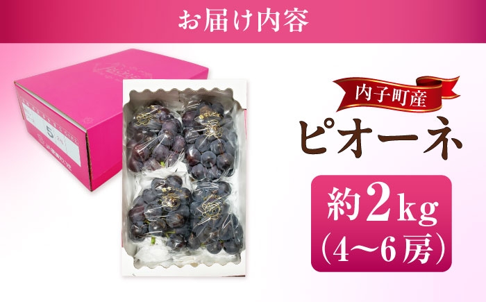 ブドウ 美味しい ぶどう ピオーネ 大人気 葡萄 愛媛県 葡萄 新鮮 旬 フルーツ 果物 食品 葡萄 新鮮ぴおーね 種なし