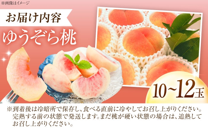 モモ 桃 フルーツ 果物 1箱 くだもの もも モモ ゆうぞら 晩生 希少 甘い ジューシー 旬 夏 大容量 産地直送 愛媛