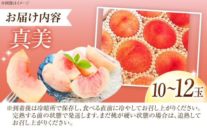 モモ 桃 フルーツ 果物 1箱 くだもの もも モモ 真美 まみ 甘い ジューシー 低酸味 旬 夏 大容量 産地直送 愛媛