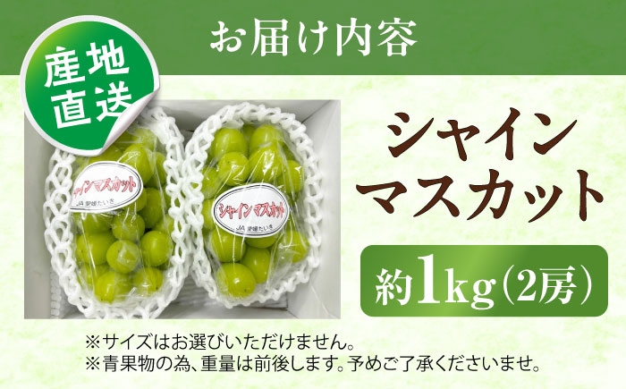 シャインマスカット しゃいんますかっと シャイン マスカット ますかっと 秀品 2房 1kg 皮ごと 葡萄 ブドウ ぶどう