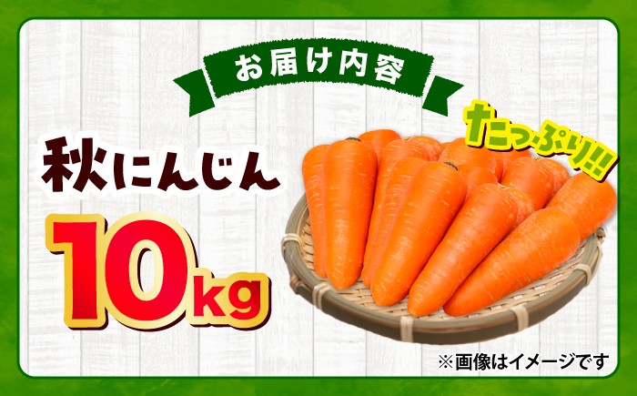 にんじん ニンジン 野菜 β-カロテン 食物繊維 抗酸化作用 栄養満点 熊本県産 菊陽町 
