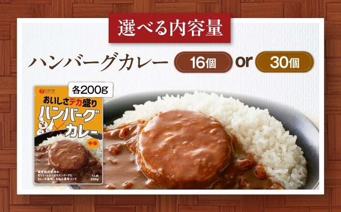 カレー パウチ インスタント食品 カレーライス 調理済みカレー レトルトカレー インスタントカレー セット インスタント