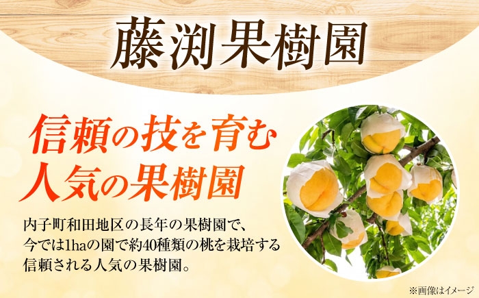 桃 もも 黄桃 フルーツ 果物 くだもの 季節のフルーツ 桃 モモ もも 黄金桃 おうごんとう 黄桃 甘い ジューシー 旬 夏