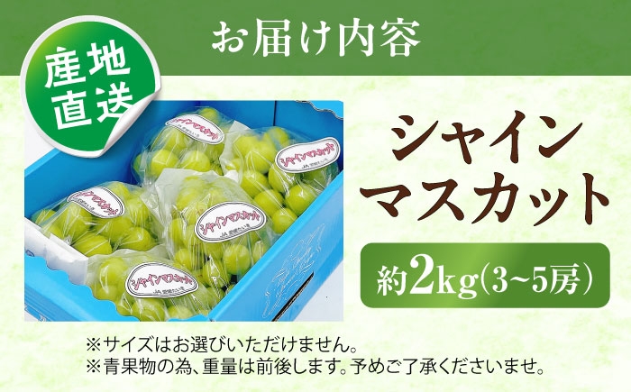 シャインマスカット しゃいんますかっと シャイン マスカット ますかっと Shine Muscat 秀品 3～5房 皮ごと