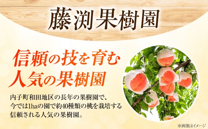 モモ 桃 フルーツ 果物 1箱 くだもの もも モモ 真美 まみ 甘い ジューシー 低酸味 旬 夏 大容量 産地直送 愛媛