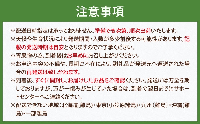 かき カキ ブドウ 葡萄 梨 なし ナシ 和梨 果物 フルーツ 国産 産地直送梨 ナシ なし 定期便 かき カキ 柿 ぶどう