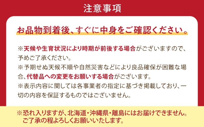 赤ブドウ ぶどう 葡萄 フルーツ 果実 お取り寄せ おすすめ 甘い 種なし 果物 ぶどう ブドウ 葡萄 赤ぶどう コトピー