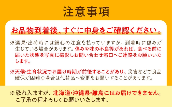モモ 桃 フルーツ 果物 1箱 くだもの もも モモ ゆうぞら 晩生 希少 甘い ジューシー 旬 夏 大容量 産地直送 愛媛