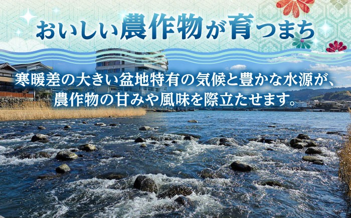 なし 梨 日田 和梨 果物 くだもの 果汁 フルーツ デザート 旬 豊水 ほうすい