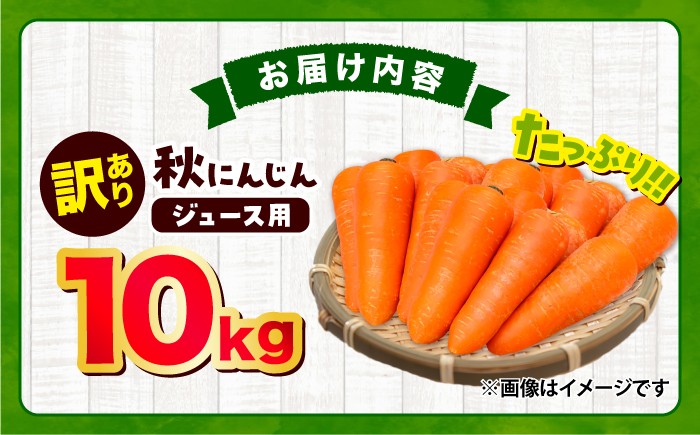 にんじん ニンジン 野菜 β-カロテン 食物繊維 抗酸化作用 栄養満点 熊本県産 菊陽町 