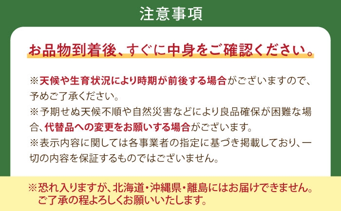 フルーツ 果物 くだもの 食品 人気 おすすめ 送料無料 シャインマスカット マスカット ますかっと ぶどう ブドウ 葡萄