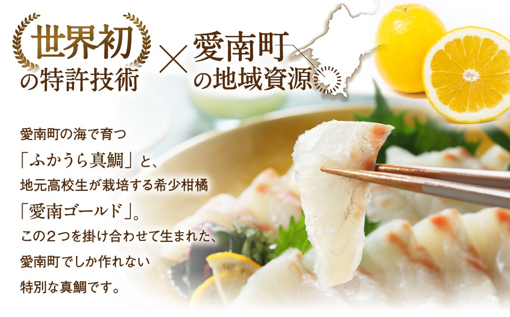 しゃぶしゃぶ 鯛しゃぶ 鯛めし 鯛茶漬け 出汁茶漬け 漬け カルパッチョ タタキ 炙り 塩焼き 煮込み 料理にもぴったり