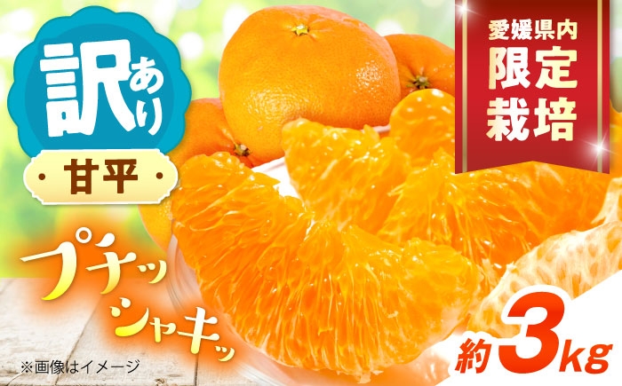 柑橘 蜜柑 みかん ミカン 愛果48号 訳あり 訳アリ 3kg 小玉 愛媛