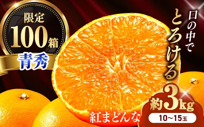 柑橘 蜜柑 みかん ミカン みかんジュース 紅まどんな 3kg 甘い 愛媛 贈答