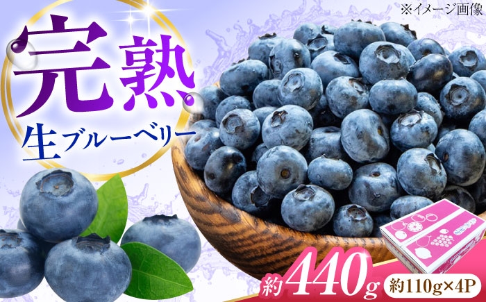 冷蔵 フルーツ 果物 ブルーベリー 生 ジャム スムージー ドリンク 1kg