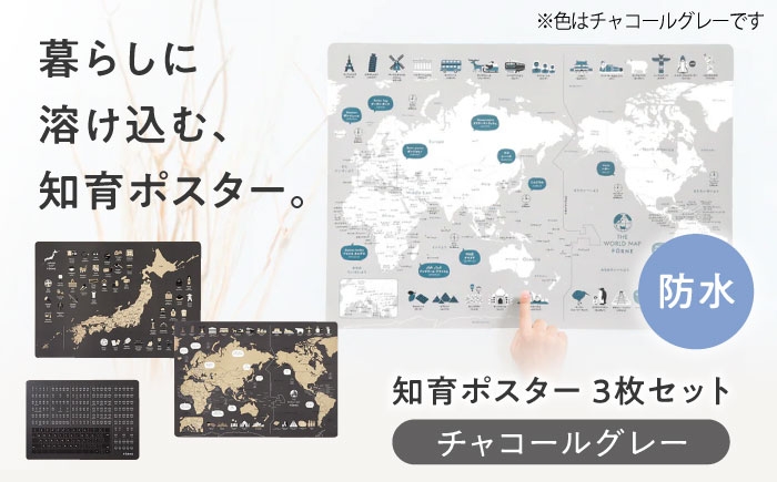知育ポスター セット お風呂 おしゃれ 日本地図 世界地図 ローマ字 教育 学習