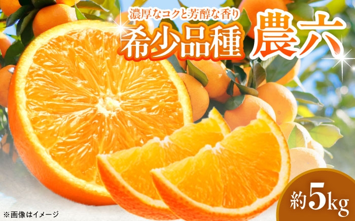 柑橘 蜜柑 みかん ミカン みかんジュース とべ農六柑 5kg 小玉 愛媛 贈答