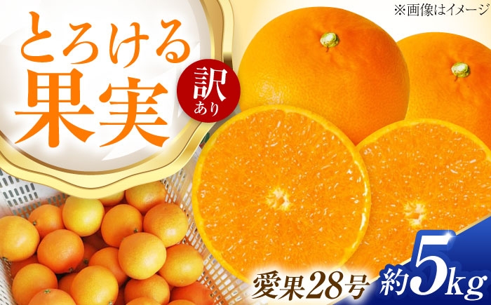 柑橘 愛果28号 訳あり 訳アリ 5kg キズあり サイズいろいろ　愛媛
