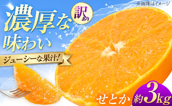 柑橘 蜜柑 みかん ミカン せとか 訳あり 訳アリ 3kg 小玉 愛媛