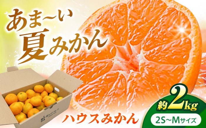 冷やしてさらにおいしく！暑い季節に楽しめるハウスみかん！