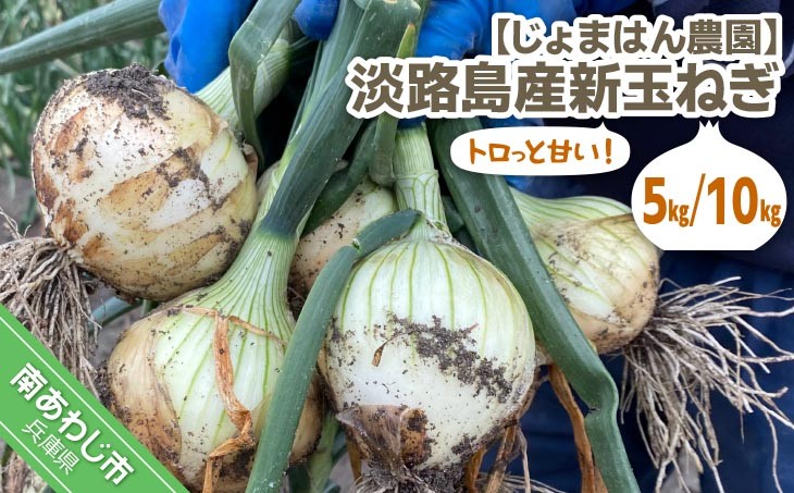 トロっと甘い！！淡路島産新玉ねぎ
