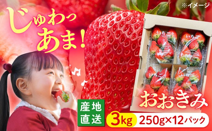 いちご 約3kg