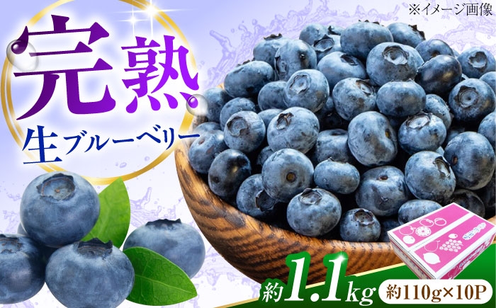 冷蔵 フルーツ 果物 ブルーベリー 生 ジャム スムージー ドリンク 1kg