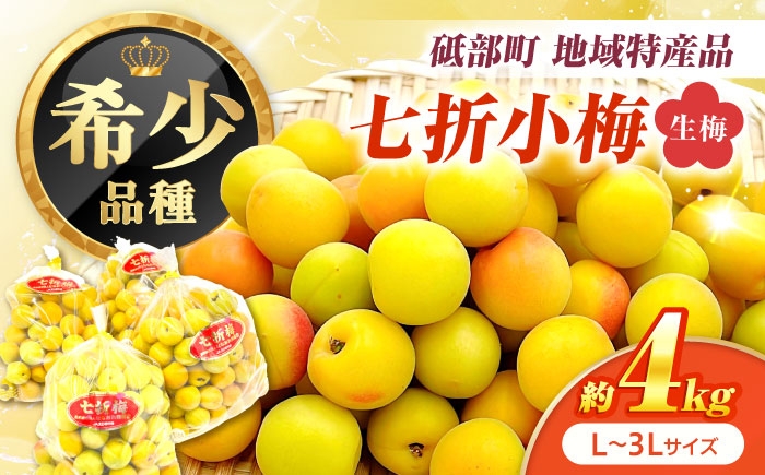 小梅 青梅 生梅 梅干し 梅干 梅酒 梅ジュース 梅シロップ 4kg 先行予約
