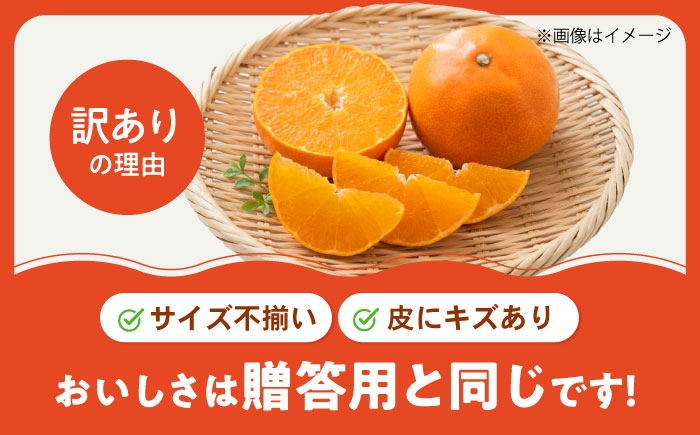 柑橘 蜜柑 みかん ミカン 愛果28号 紅まどんな 訳あり 3kg 小玉 愛媛