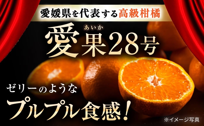 柑橘 蜜柑 みかん ミカン 愛果28号 訳あり 訳アリ 3kg 小玉 愛媛