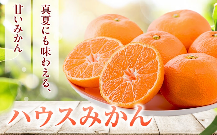 冷やしてさらにおいしく！暑い季節に楽しめるハウスみかん！