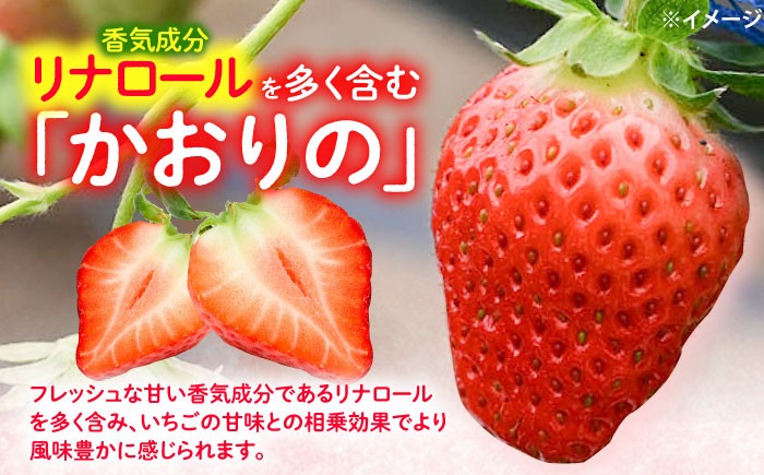 いちご 1kg