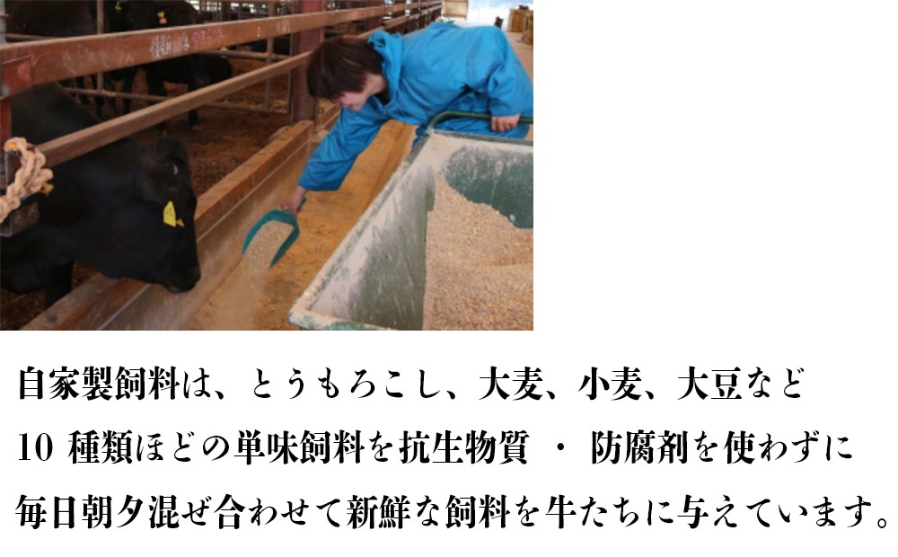 牛舎で自家配合飼料を牛に与える様子