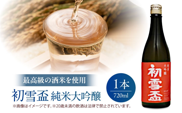 日本酒 砥部焼 セット 純米大吟醸 初雪盃 梅山窯 徳利 盃 高島屋 愛媛