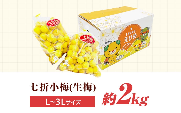 小梅 青梅 生梅 梅干し 梅干 梅酒 梅ジュース 梅シロップ 2kg 先行予約