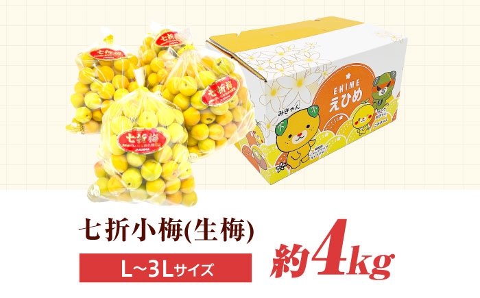 小梅 青梅 生梅 梅干し 梅干 梅酒 梅ジュース 梅シロップ 4kg 先行予約