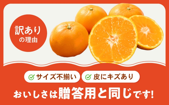 柑橘 蜜柑 みかん ミカン 愛果48号 訳あり 訳アリ 3kg 小玉 愛媛