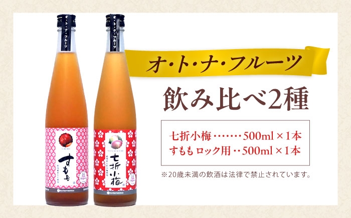 リキュール 果実酒 梅酒 七折小梅 すもも 初雪盃 愛媛 砥部町 高島屋