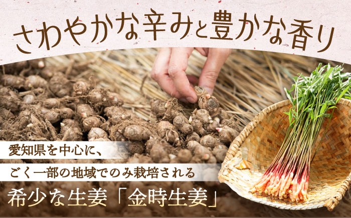 愛知県産「金時生姜」の個性を愉しむ。食卓を彩る10種の酢漬けセット。