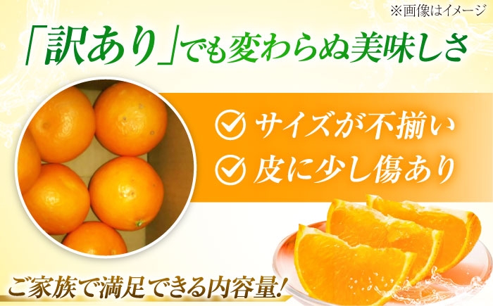 柑橘 蜜柑 みかん ミカン 愛果28号 訳あり 訳アリ 3kg 小玉 愛媛