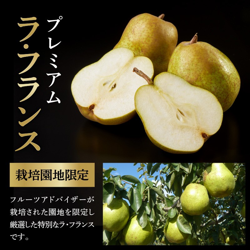 梱包イメージ