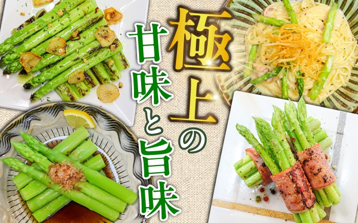 アスパラガス アスパラ 野菜 やさい 訳あり 期間限定