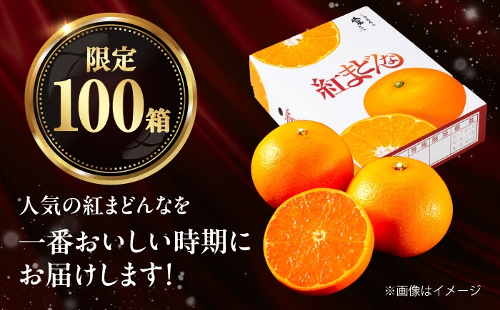 柑橘 蜜柑 みかん ミカン みかんジュース 紅まどんな 3kg 甘い 愛媛 贈答